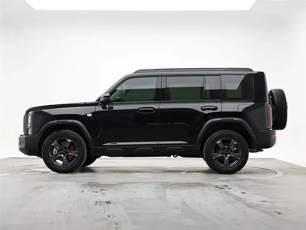 Haval Raptor 2025 из CN, фото 4