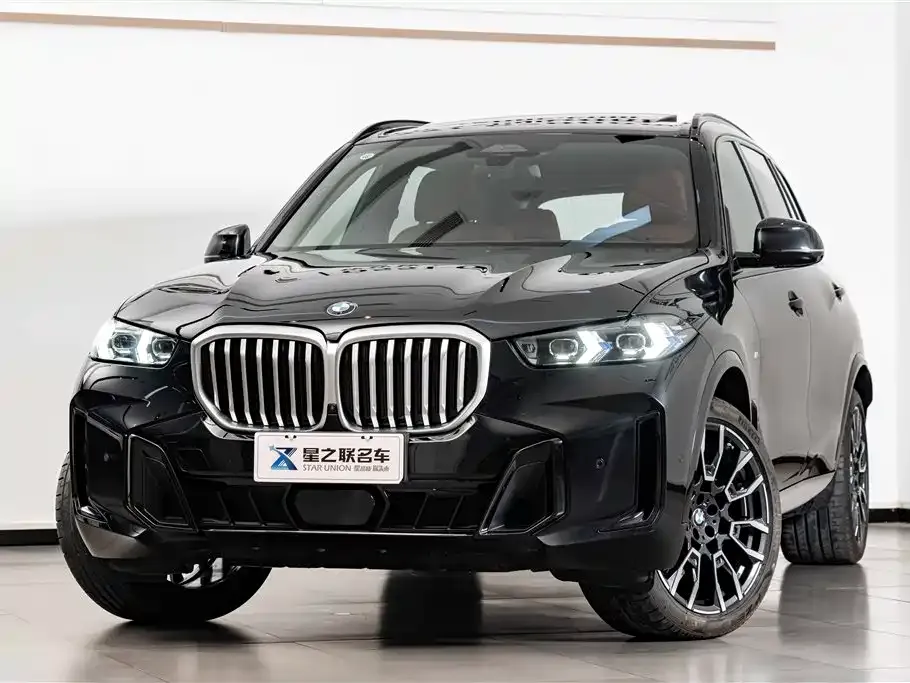 BMW X5 — фото 9