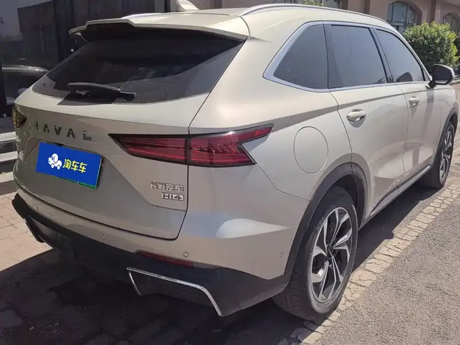 Haval Xiaolong MAX 2023 из CN, фото 4