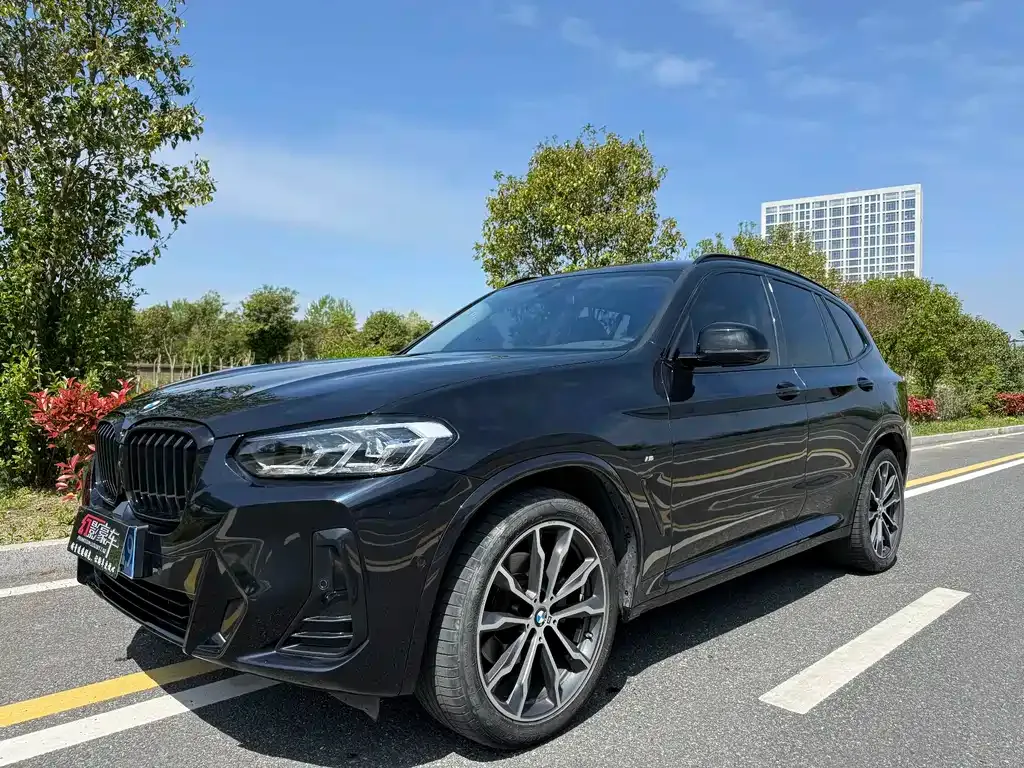BMW X3 — фото 1