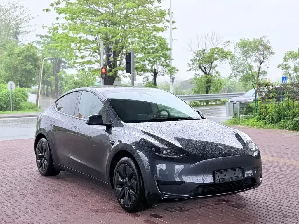 Tesla Model Y — фото 6