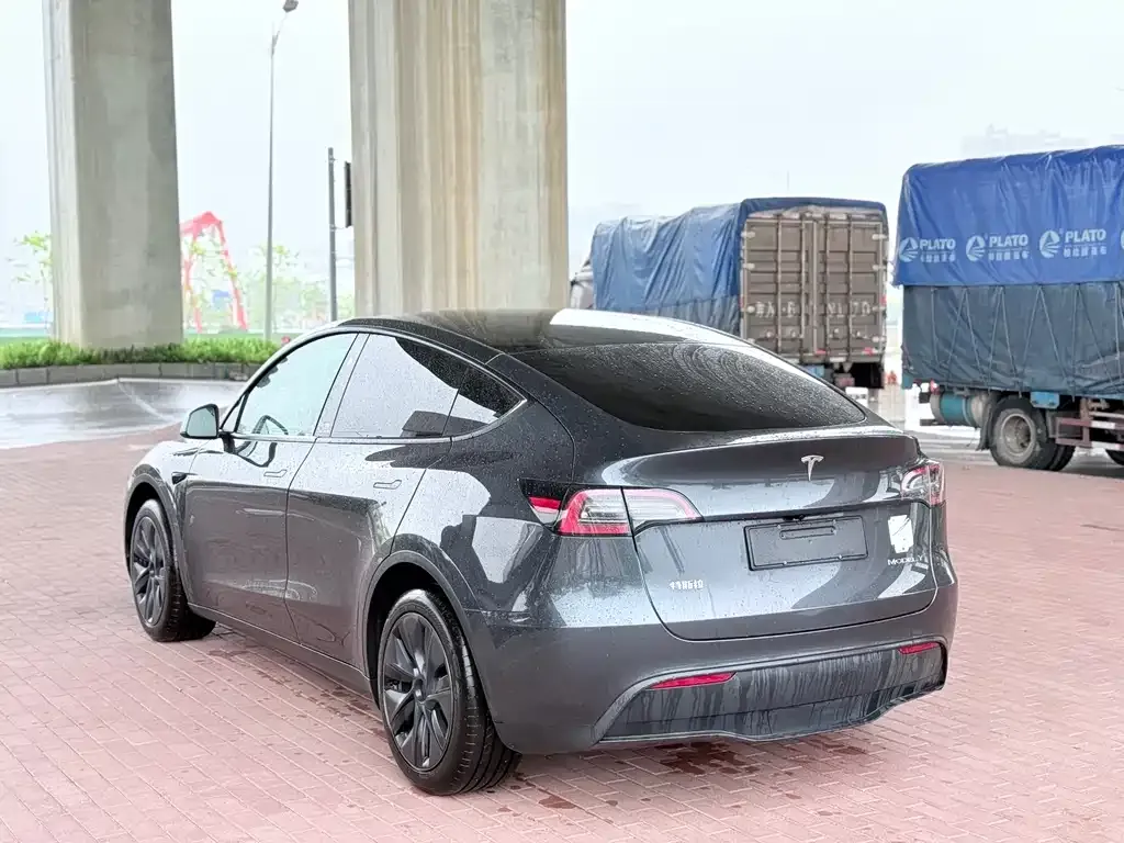 Tesla Model Y — фото 3