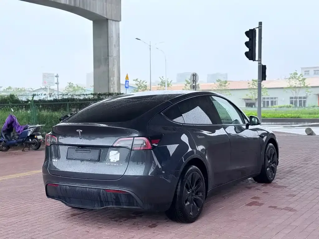 Tesla Model Y — фото 2