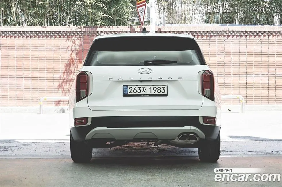 Hyundai Palisade — фото 10