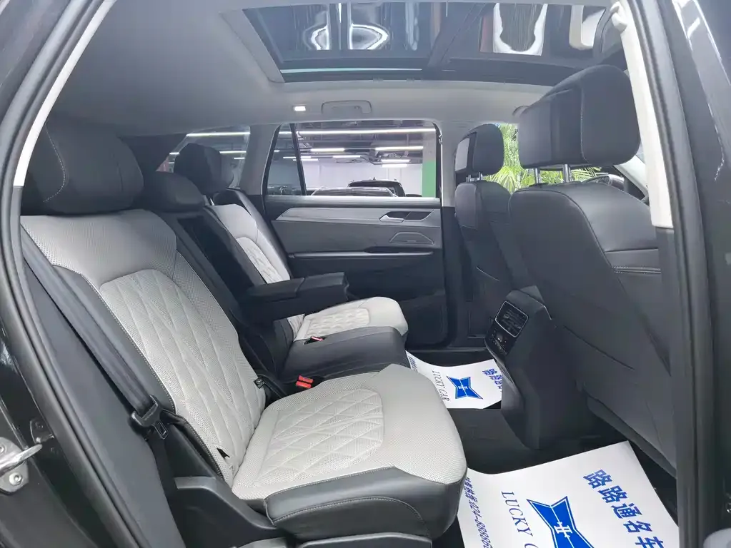 Volkswagen Tavendor 2024 из CN, фото 4