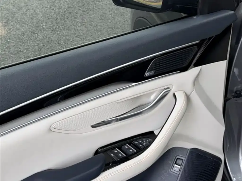 BYD PLUS New Energy — фото 4