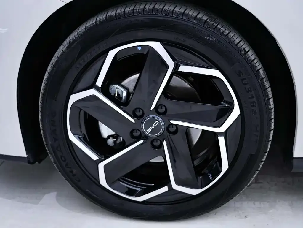 BYD Seal 06 — фото 3