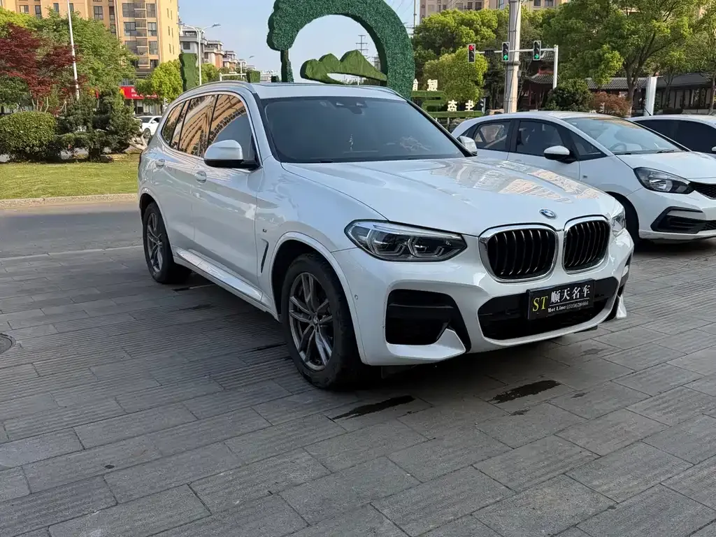 BMW X3 2021 из CN, фото 6