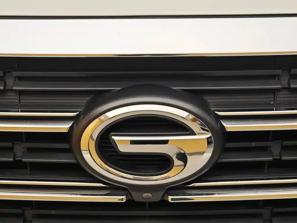 GAC Motor Trumpchi M8 2022 из CN, фото 2