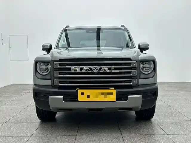 Haval Menglong New Energy 2024 из CN, фото 9