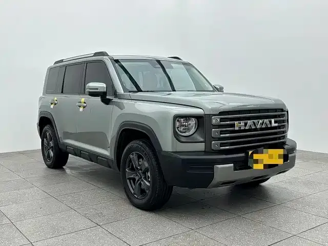 Haval Menglong New Energy 2024 из CN, фото 7