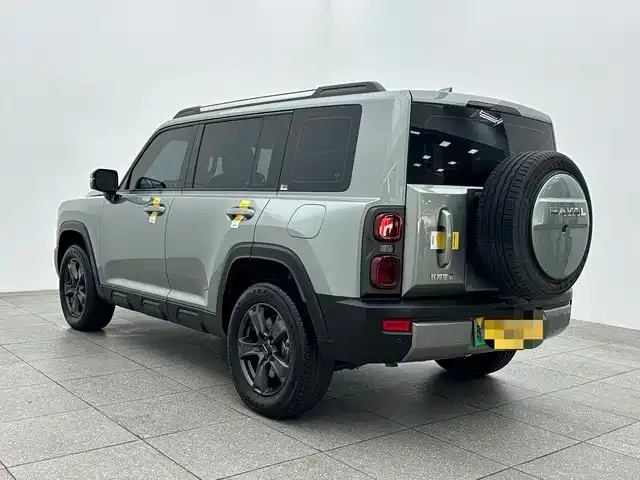 Haval Menglong New Energy 2024 из CN, фото 8