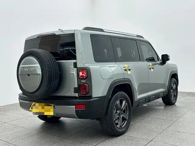 Haval Menglong New Energy 2024 из CN, фото 4