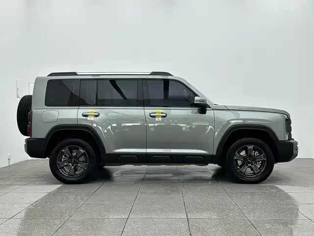 Haval Menglong New Energy 2024 из CN, фото 2