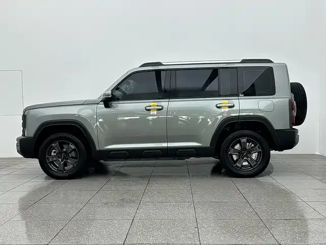 Haval Menglong New Energy 2024 из CN, фото 3