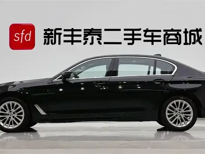 BMW 5 Series 2022 из CN, фото 5