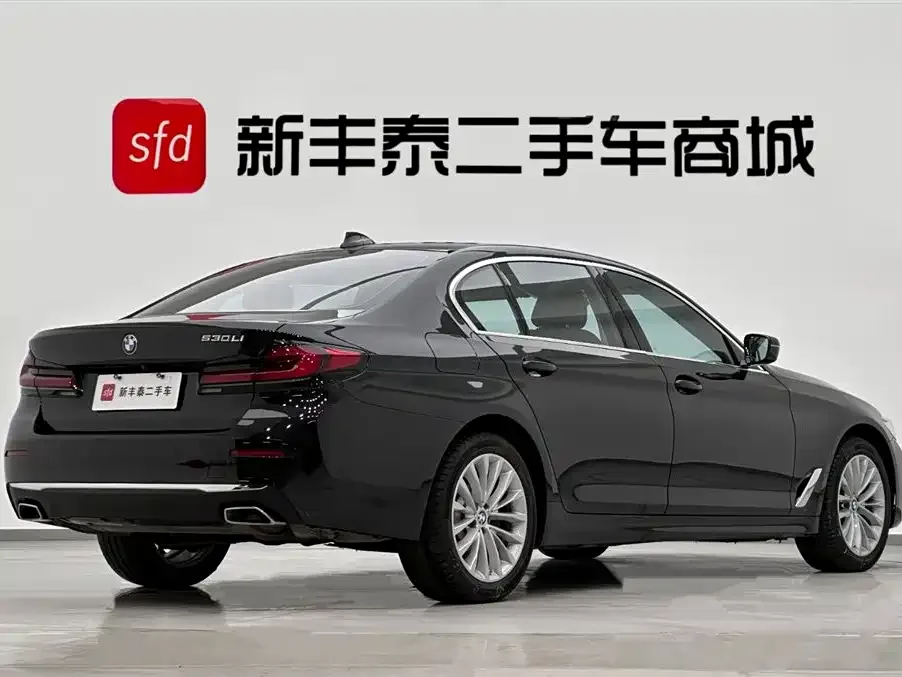 BMW 5 Series 2022 из CN, фото 4