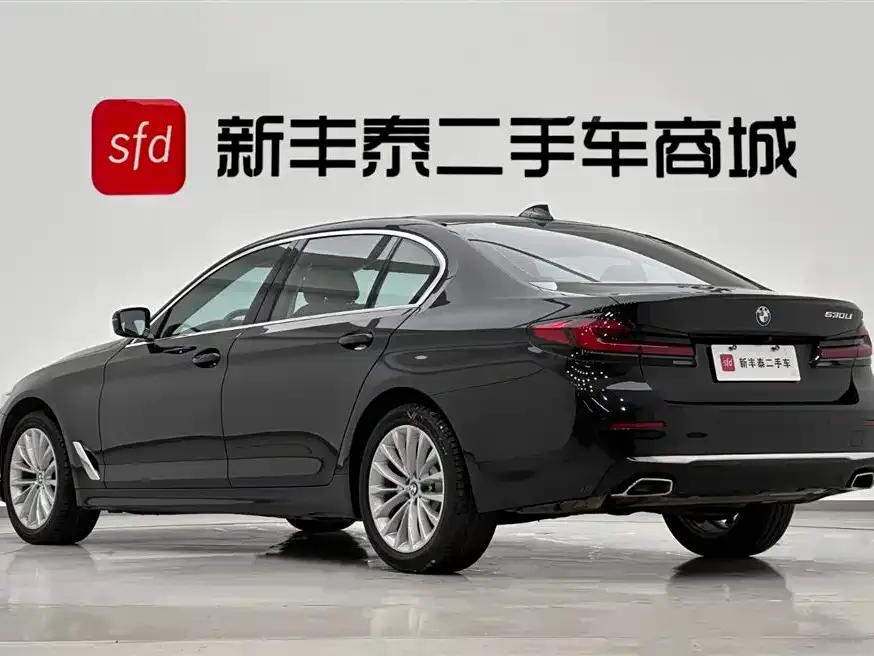 BMW 5 Series 2022 из CN, фото 7