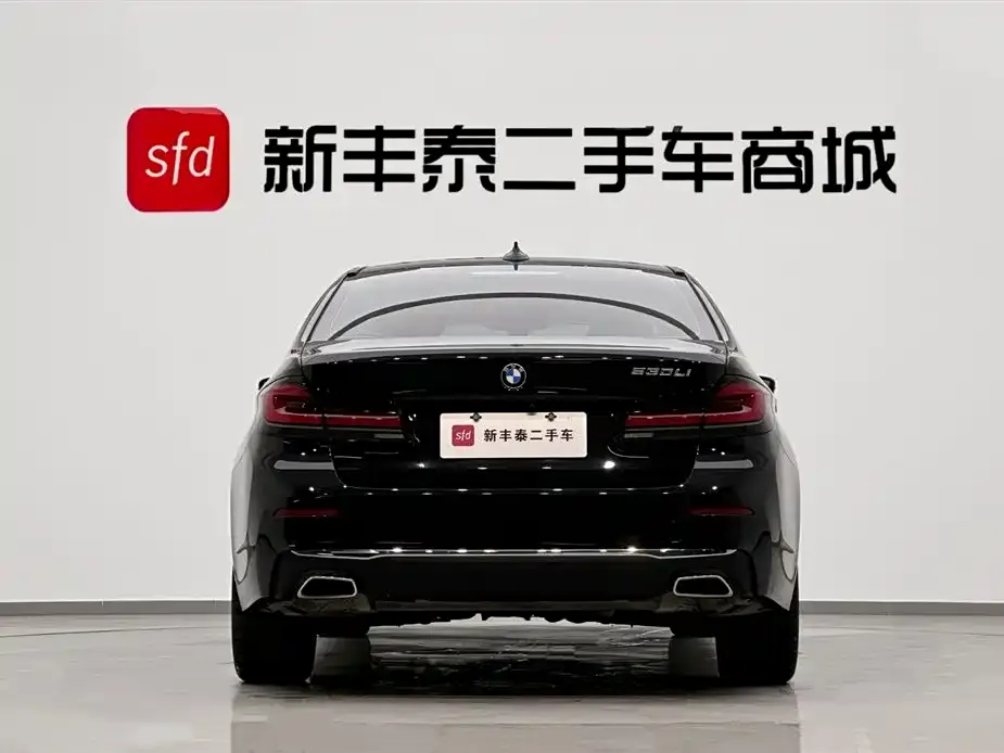 BMW 5 Series 2022 из CN, фото 6