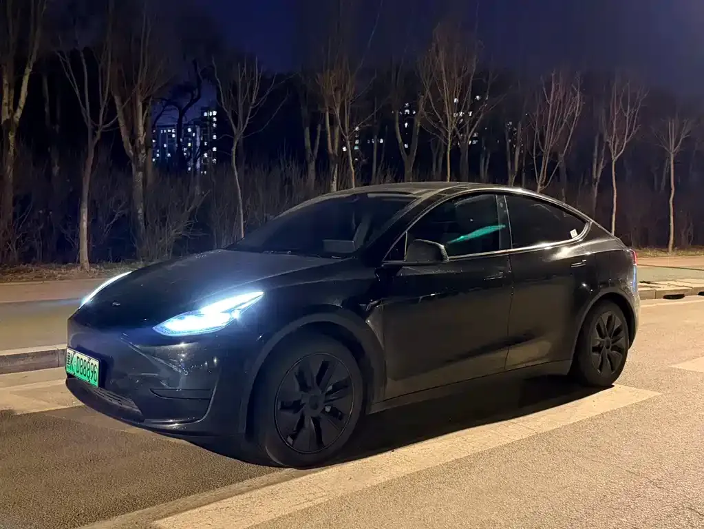 Tesla Model Y — фото 3