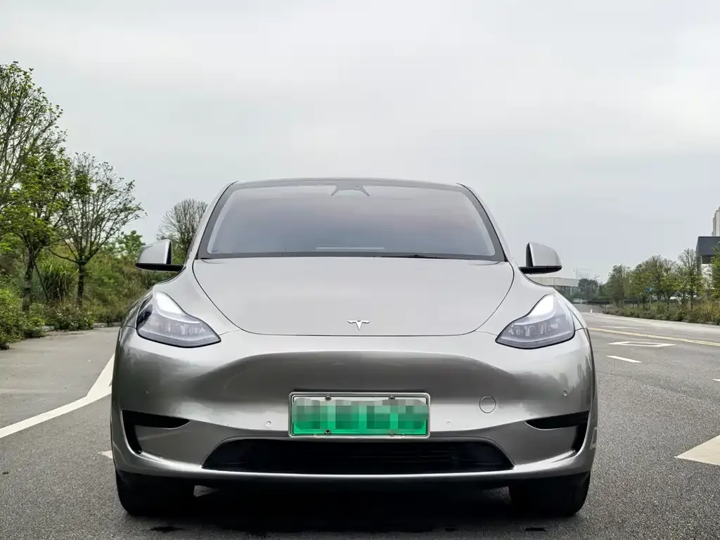 Tesla Model Y — фото 5