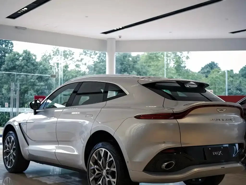 Aston Martin DBX 2023 из CN, фото 9