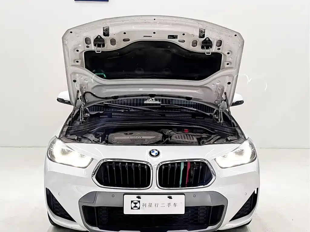 BMW X2 2021 из CN, фото 4