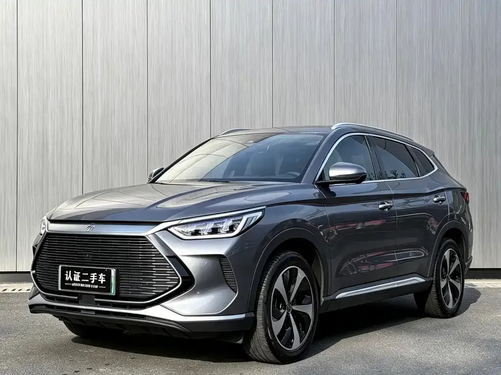 BYD PLUS New Energy — фото 1