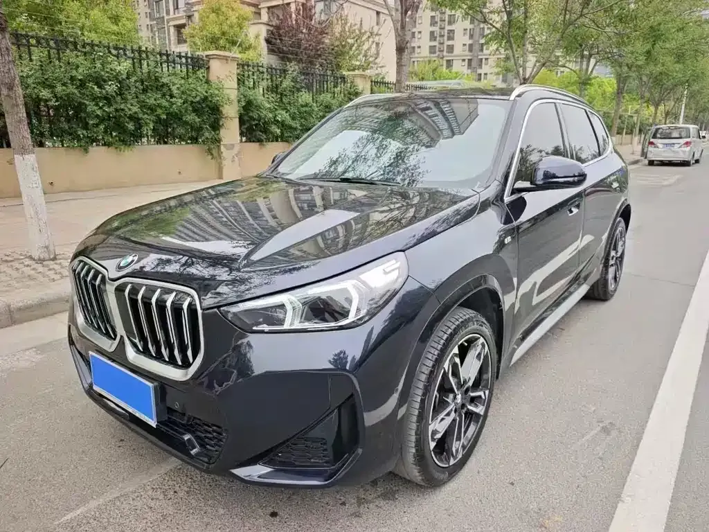 BMW X1 — фото 1