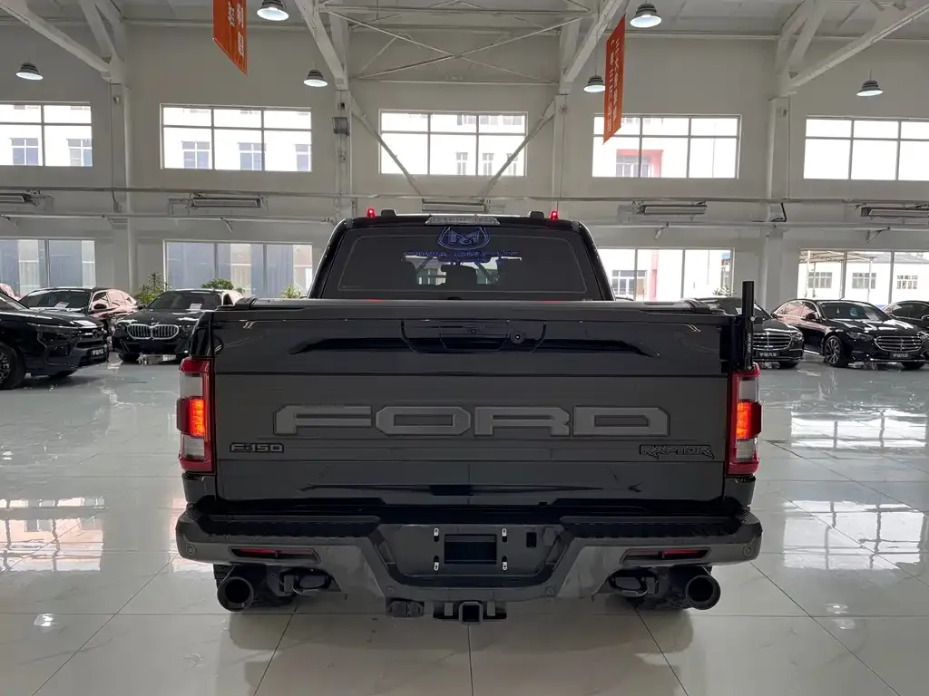 Ford F-150 Raptor — фото 9