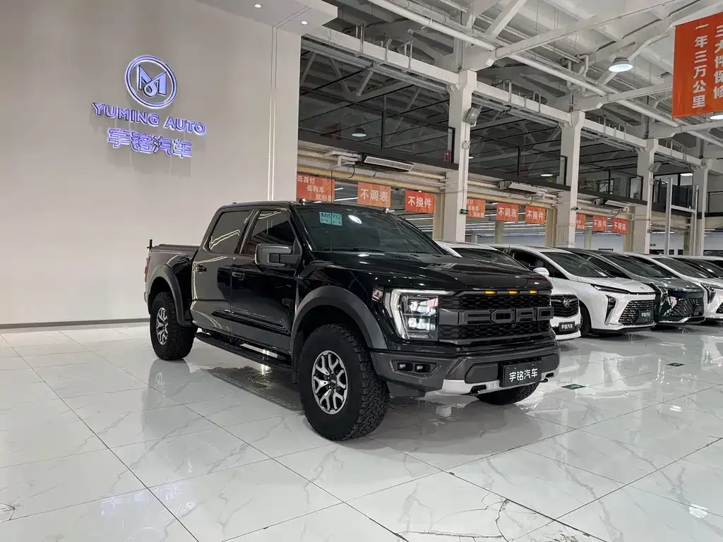 Ford F-150 Raptor — фото 6