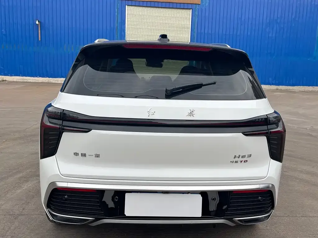 Hongqi HS3 2023 из CN, фото 9
