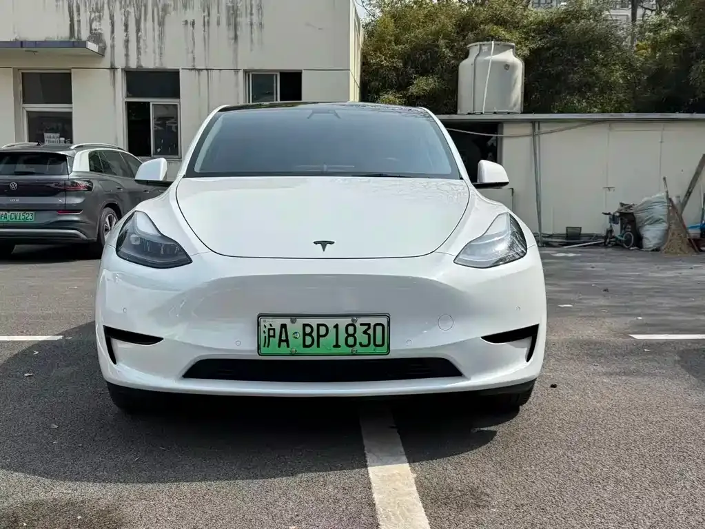 Tesla Model Y — фото 1