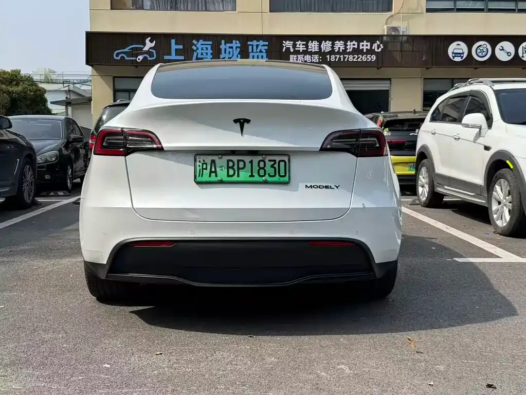 Tesla Model Y — фото 7