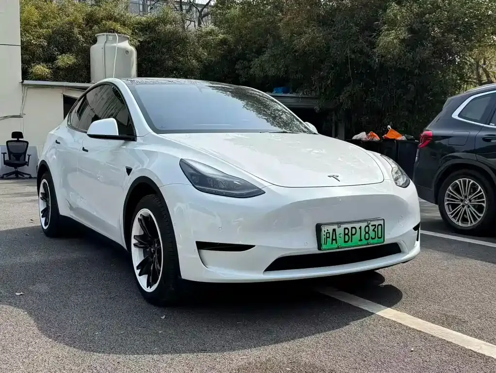 Tesla Model Y — фото 10