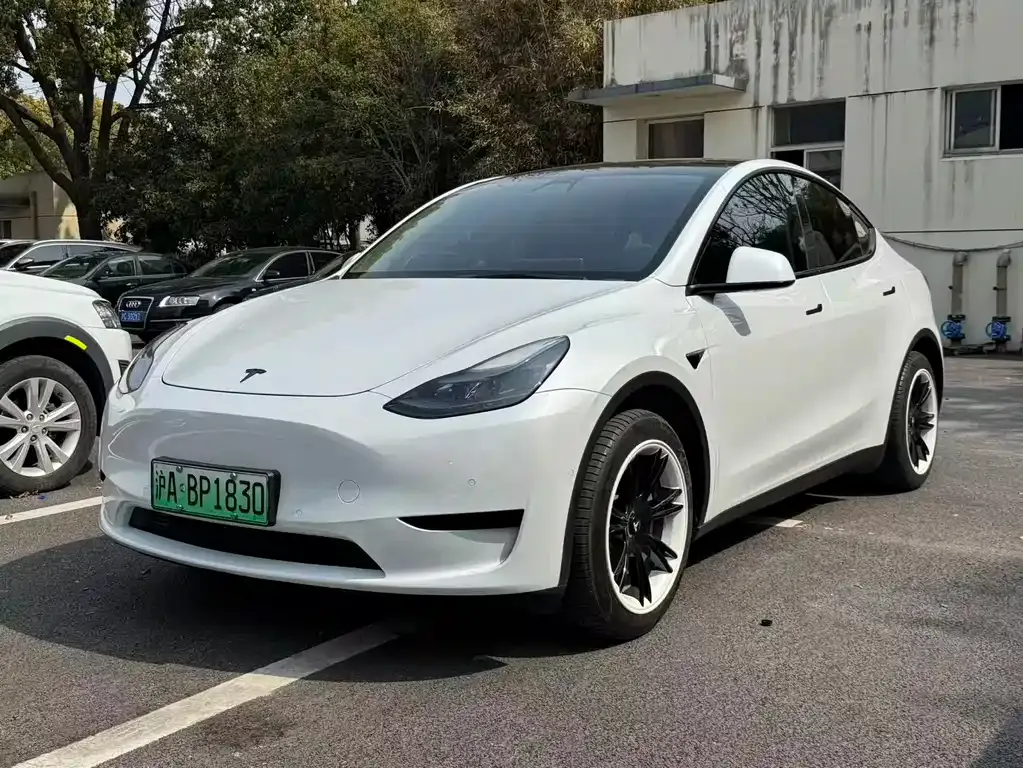 Tesla Model Y — фото 8
