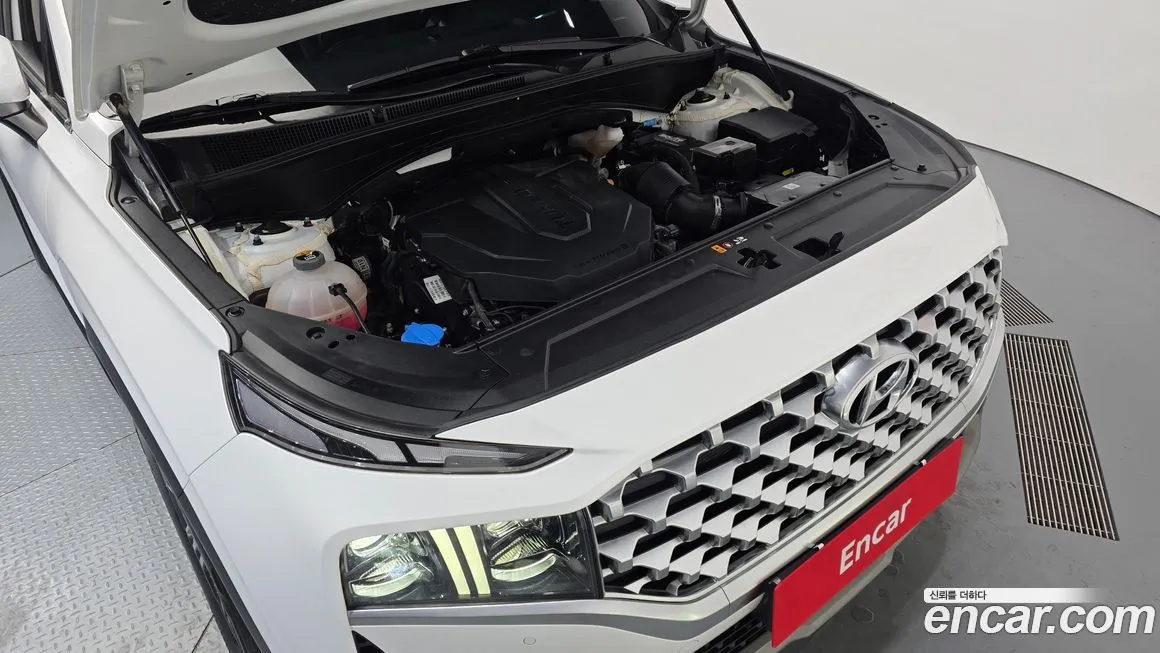 Hyundai Santafe 2021 из KR, фото 9