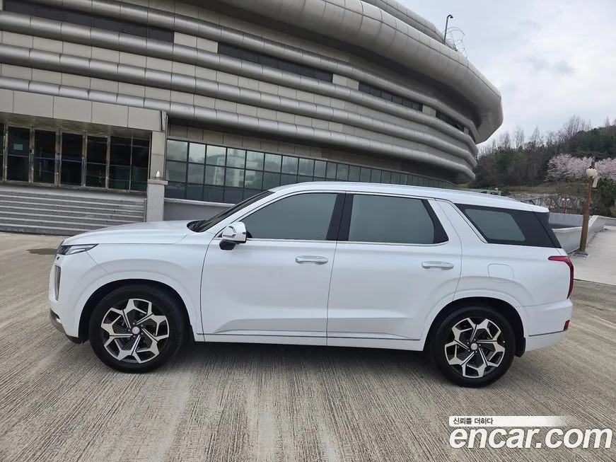 Hyundai Palisade — фото 8