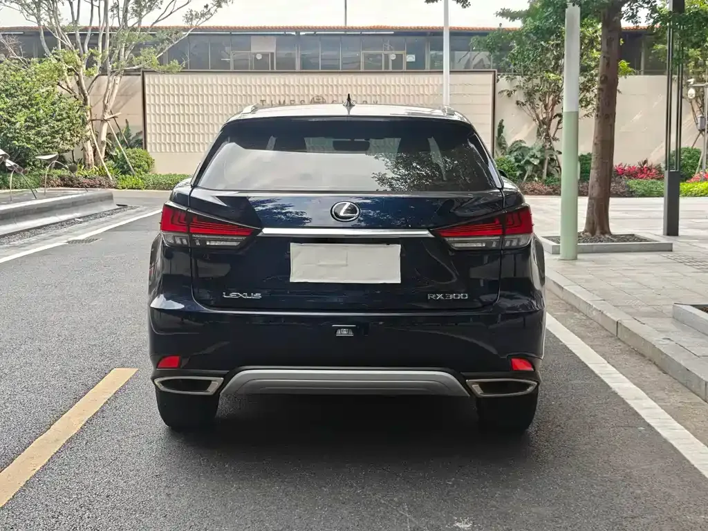 Lexus RX 2022 из CN, фото 8