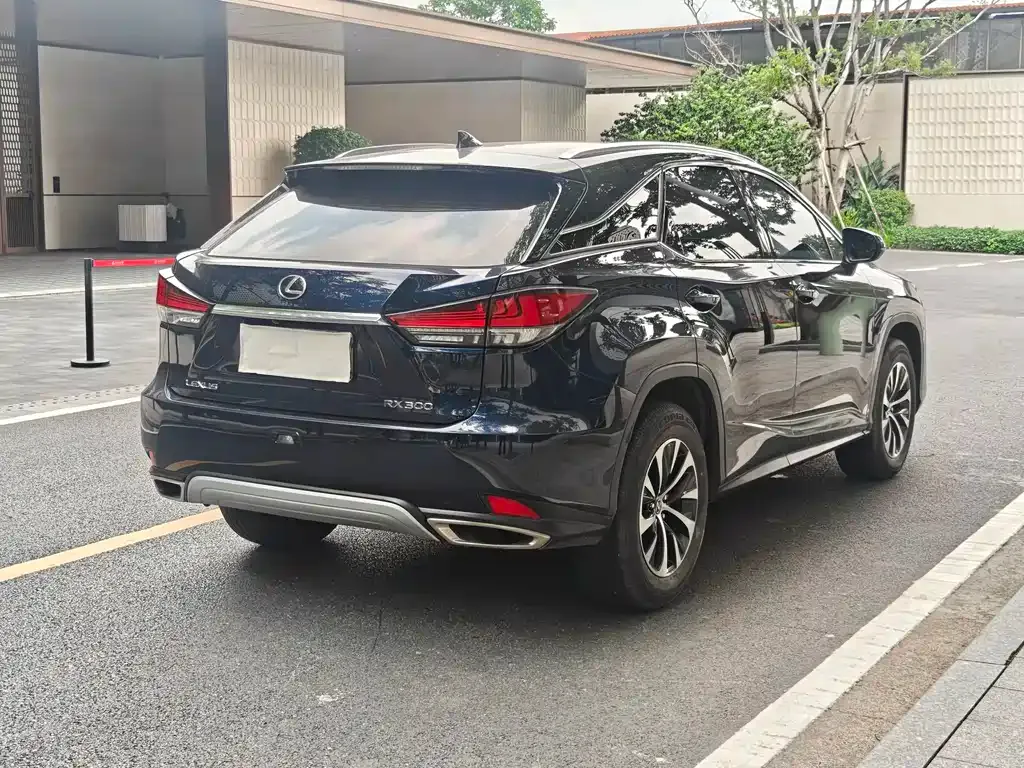 Lexus RX 2022 из CN, фото 6