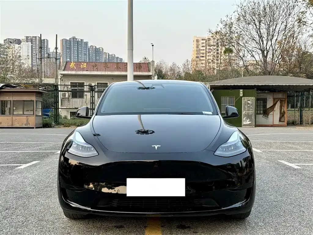 Tesla Model Y — фото 8