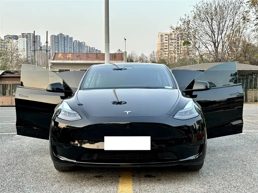 Tesla Model Y — фото 6