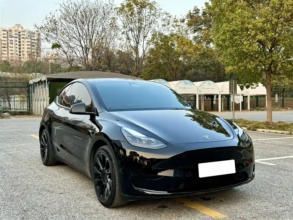 Tesla Model Y — фото 10