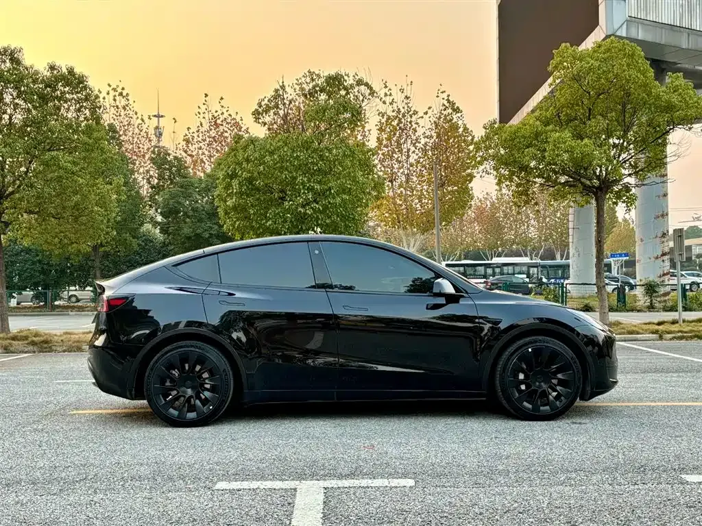 Tesla Model Y — фото 9