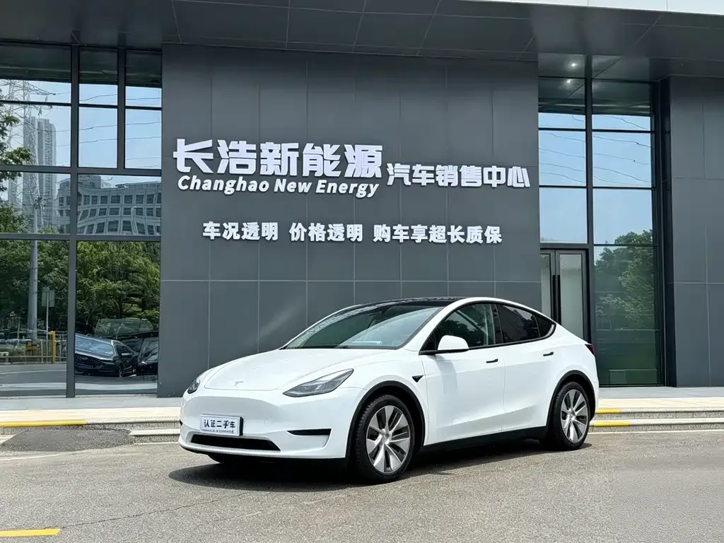 Tesla Model Y — фото 1