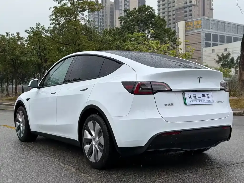 Tesla Model Y — фото 10