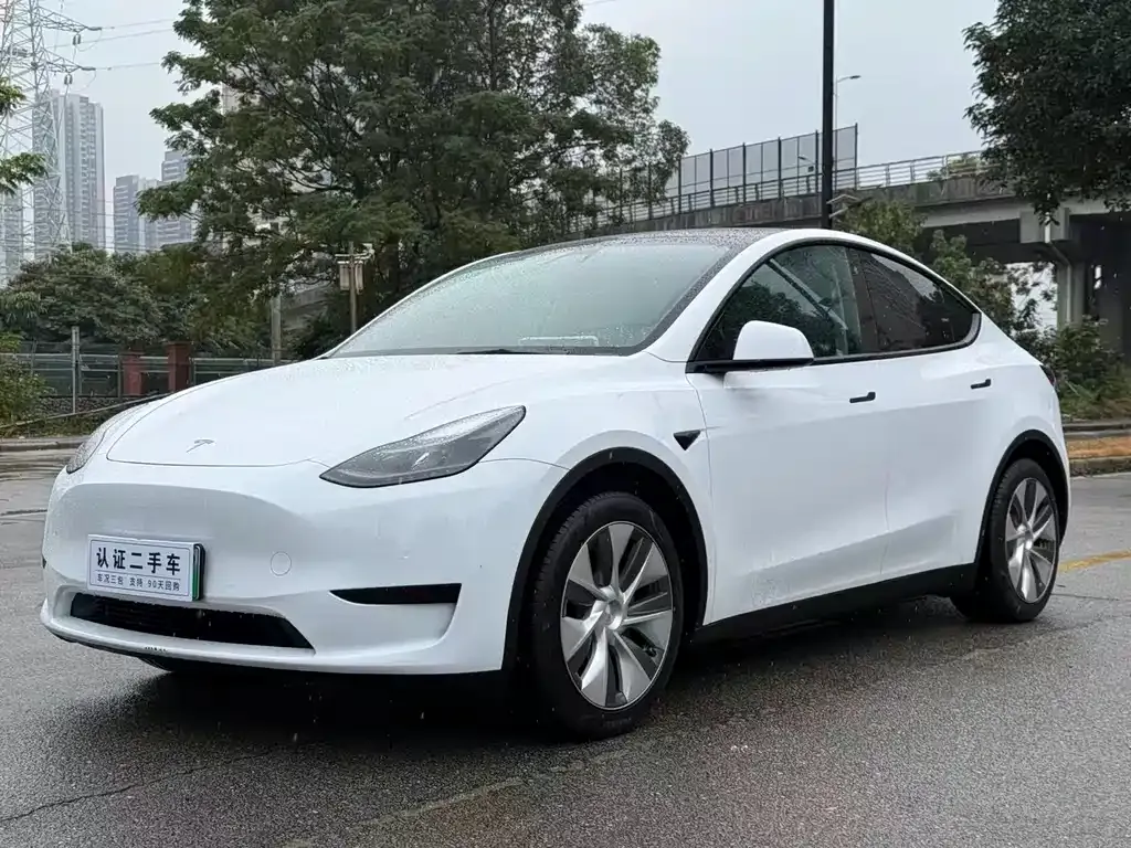 Tesla Model Y — фото 3