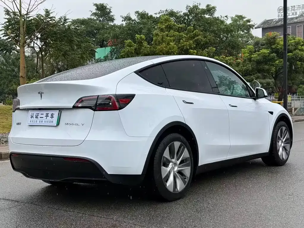 Tesla Model Y — фото 8