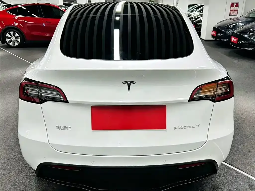 Tesla Model Y — фото 8