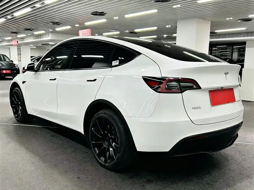 Tesla Model Y — фото 9